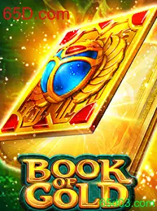 Explorando o Fascinante Mundo de BookofGold e a Importância de 65D.com