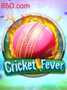 Descubra o Empolgante Mundo de CricketFever: Regras e Introdução